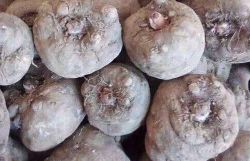 丝瓜|脂肪“讨厌”的5种食物,常吃点,燃脂排毒,体重嗖嗖往下降!