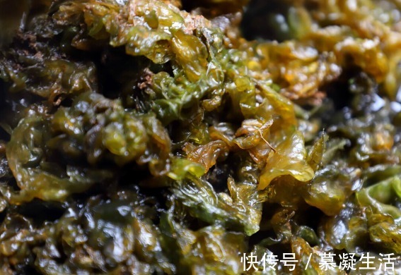 吃法|68种野菜图片,教你认识不同的野菜和吃法,你想要的野菜这里都有