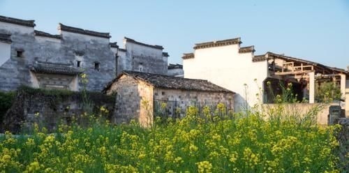 南屏|皖南被忽视的绝美古村，比宏村更为悠久，门票仅38，却没多少游客