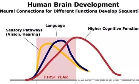 李玫瑾|李玫瑾:孩子睡觉时有这3个举动,暗示大脑发育快,智商会更高