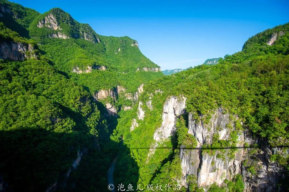 相处舒服，无言也暖！保康这家景区在春日里等你