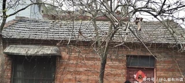花园|女子“爆改”破败三合院,巧变花园豪宅,父母住进来不想走,显摆
