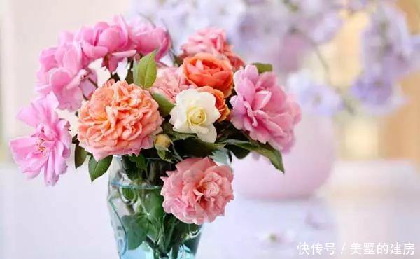 25个最聪明的生活小窍门,简单又实用,送给大家!