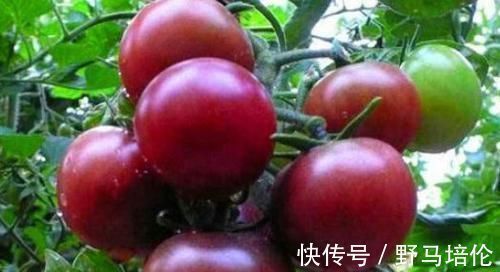 食物|想长寿得会吃,3种食物要多吃,疏肝理气,舒缓压力,谁吃谁健康