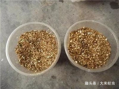 月季扦插只能等明年开春了，扦插小技巧，请先收好！