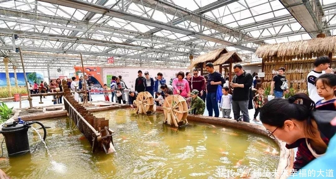 农民|安排上了!让昌平乡村更美,农民更富