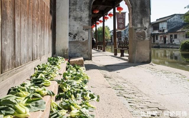 野菜|转告父母:3种野菜抓紧撤下饭桌,不忌口,骨质疏松迟早会来