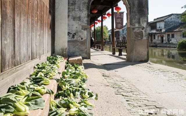  野菜|转告父母：3种野菜抓紧撤下饭桌，不忌口，骨质疏松迟早会来