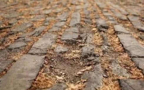 修复|故宫地砖损坏,工匠修复时发现一“秘密”,专家:朱棣心真狠