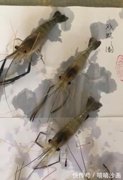 幼儿园@幼儿园作业让画“戏虾图”爷爷脑洞大开教孙子,网友还是3D哟