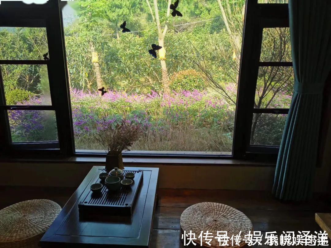 在乡下改造一个小院，种菜养花天天都是乡村田园梦，生活如此惬意