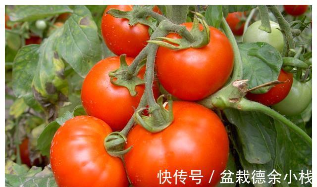 食物|12岁男孩身高170公分,育儿医生夸:2种食物有助长高,父母