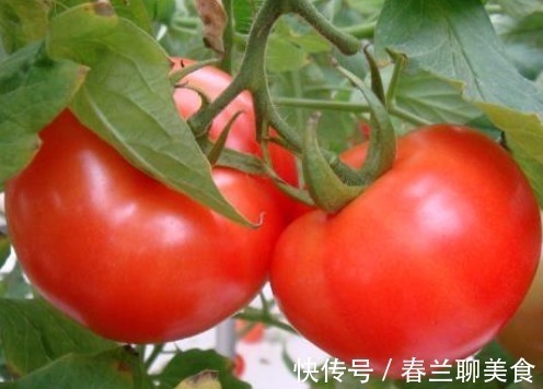 买西红柿时,别只会用手捏!牢记3个小窍门,个个清甜又多汁儿!