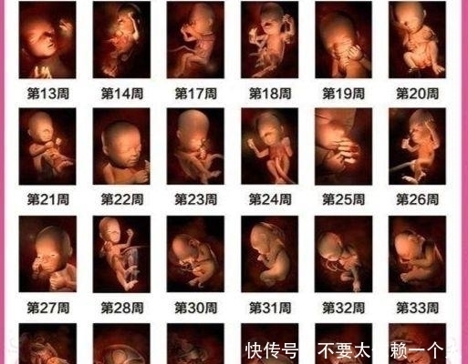 胎儿在哪个月生长发育最快 注意这五点 让胎儿生长发育更顺利 全网搜 胎儿在哪个月生长发育最快 注意这五点 让胎儿生长发育更顺利 全网搜