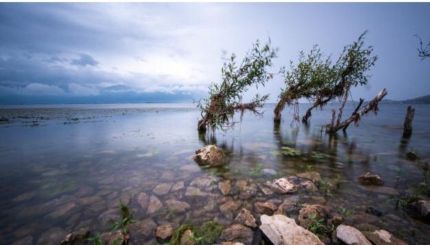施舍者&真正懂人情世故的高手,往往有8个处世“心计”,看看你有几个?