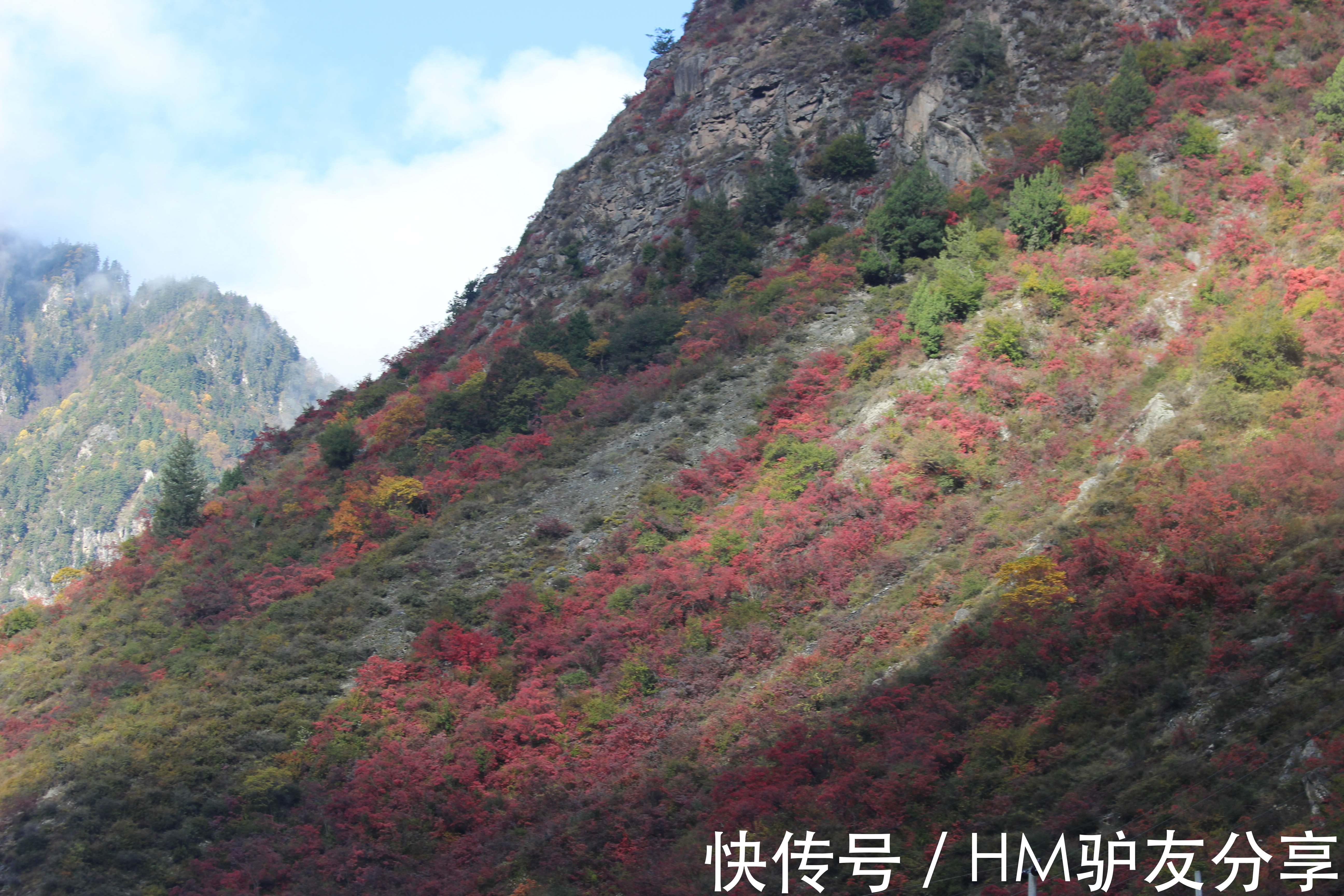 古尔沟|看川西彩林 这一条环线就够了 毕棚沟-米亚罗-奶子沟-卡龙沟-牟尼沟