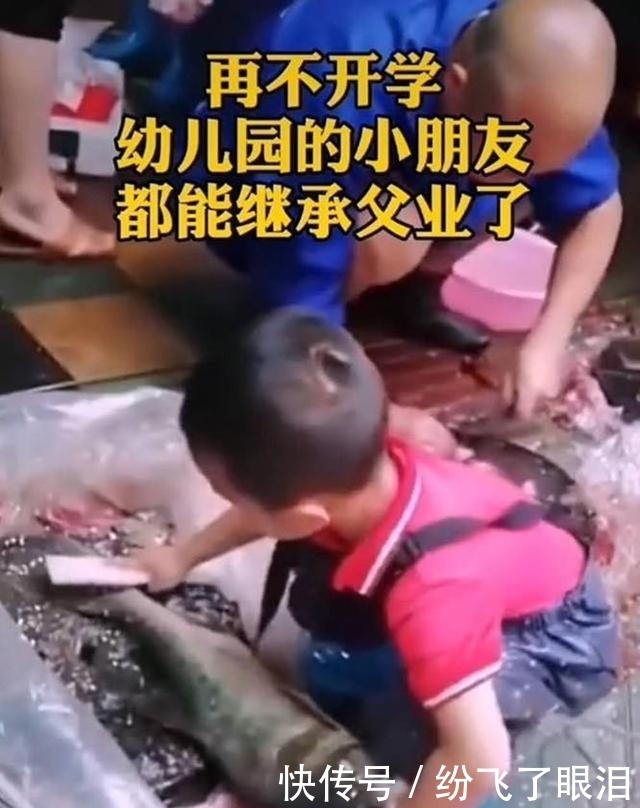 父母|4岁男孩杀鱼去鳞手法娴熟，孩子：幼儿园再不开，我要子承父业了