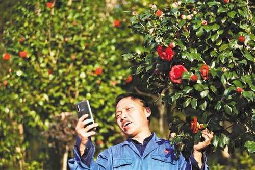 春来花开艳满城 一路繁花一路景