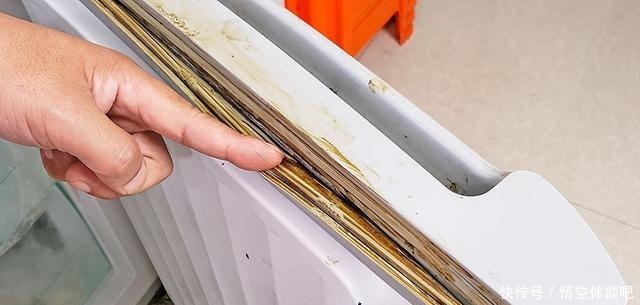 冰箱脏了别用清水擦,教你1个诀窍,污渍细菌3分钟都去除!