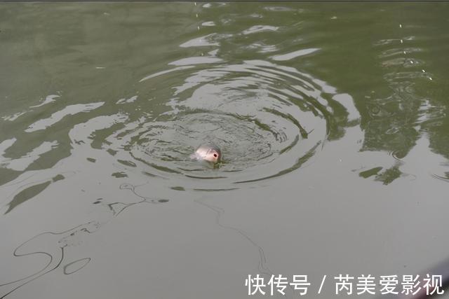 调钓到底准不准，不用看调几钓几，用这两招就能精准判断