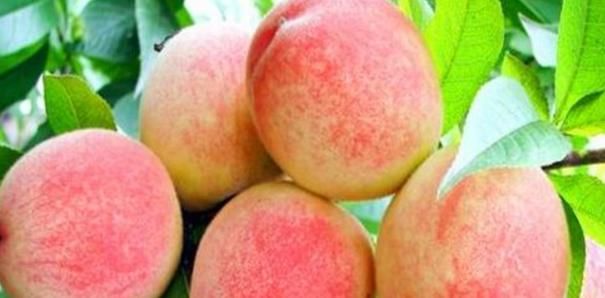 食補(bǔ)是天然變美法，女人四十還是一枝花，美白肌膚清除毒素垃圾