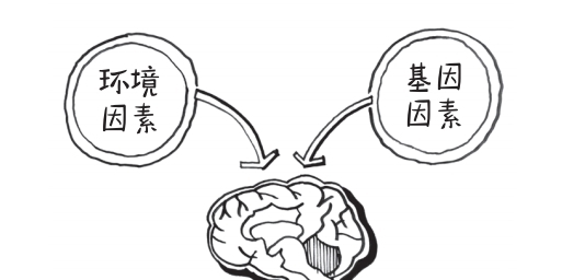 大脑|叛逆、冒险、自控力差？四个步骤高效解决青少年烦“脑”