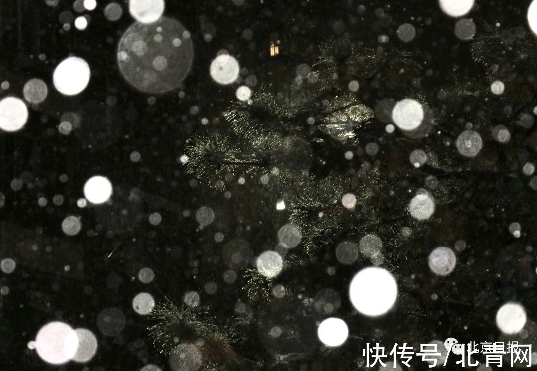 北方初雪即暴雪，南方气温马上高台跳水！@上海人：明天白天的暖不是真暖，明晚的冷是真冷