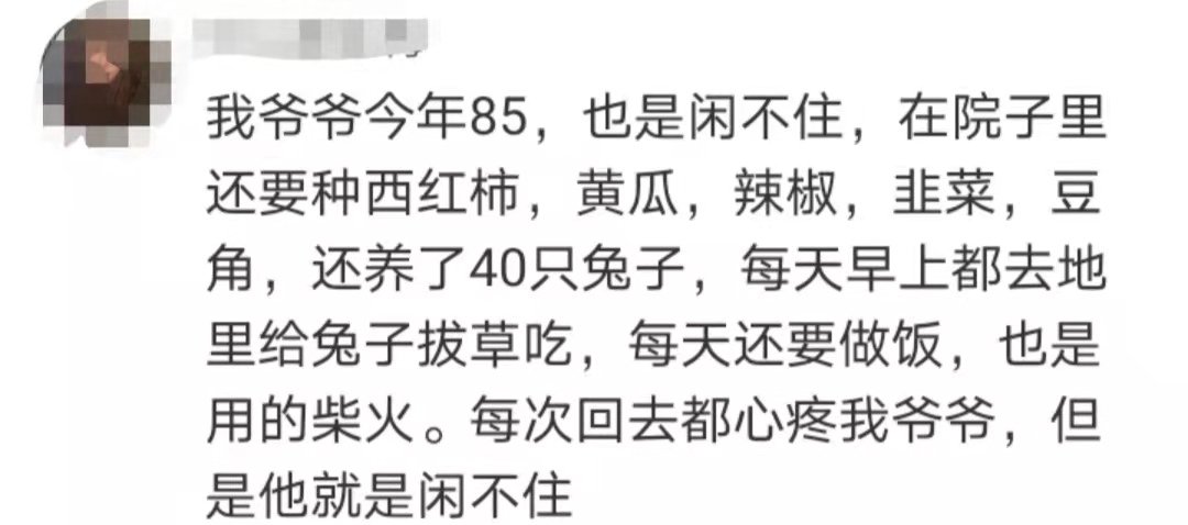 老人|全县“最大网红”！这位102岁奶奶火了