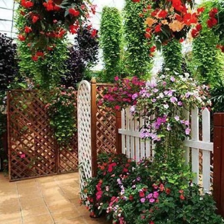 现在庭院不流行种菜了!这样“打造”,不比私人别墅效果差,超美