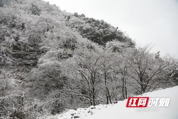 美景|湖南新田：春雪绘美景（组图）