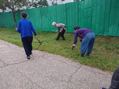 清晨漫步朝鲜街头,能见到什么样的画面?