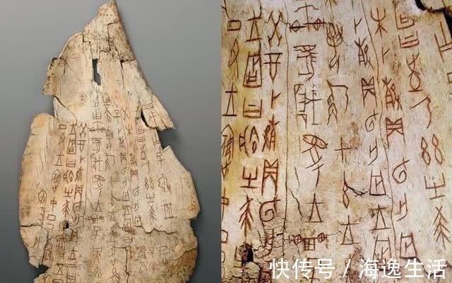 商朝|清朝一敷就能止血的金疮药,为何后来消失了,看看原材料就能明白