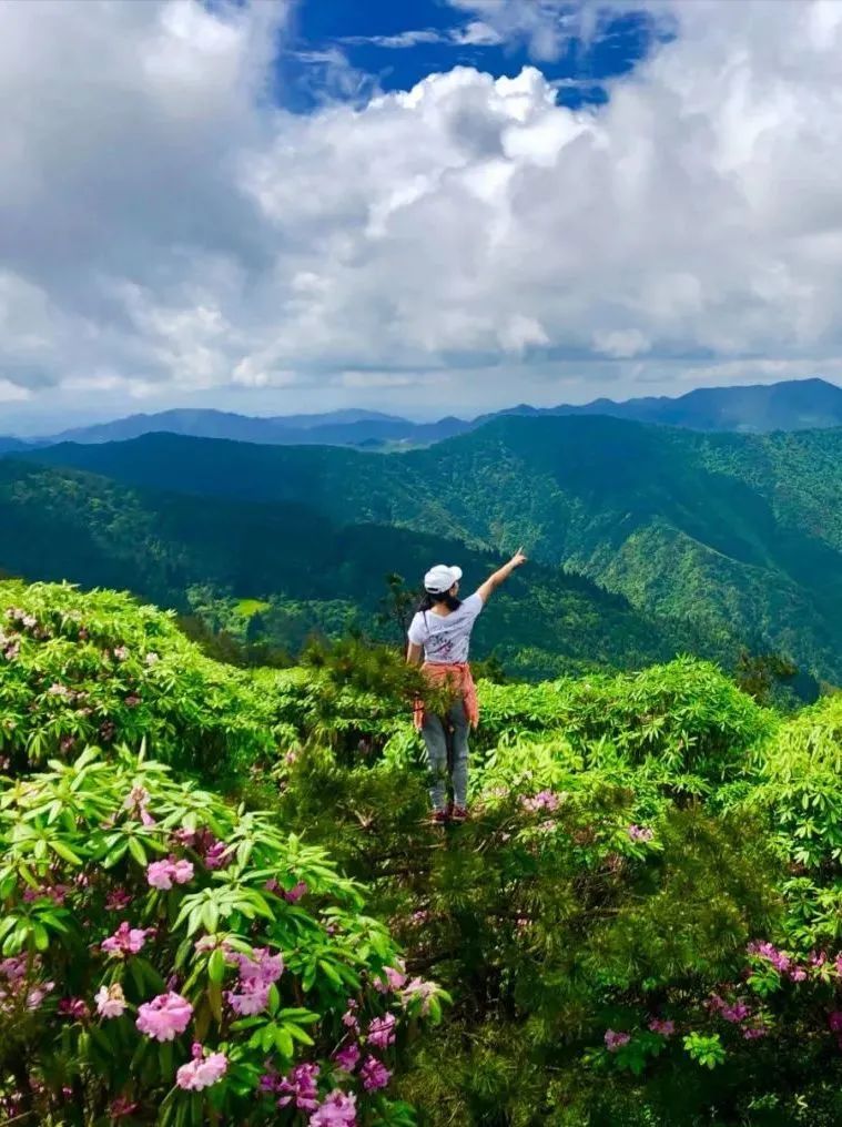 云海|缙云“小黄山”入夏美出了新高度，等你来征服！