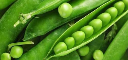 沙棘果|女性养生很关键,多吃以下几种食物,保护血管延缓衰老