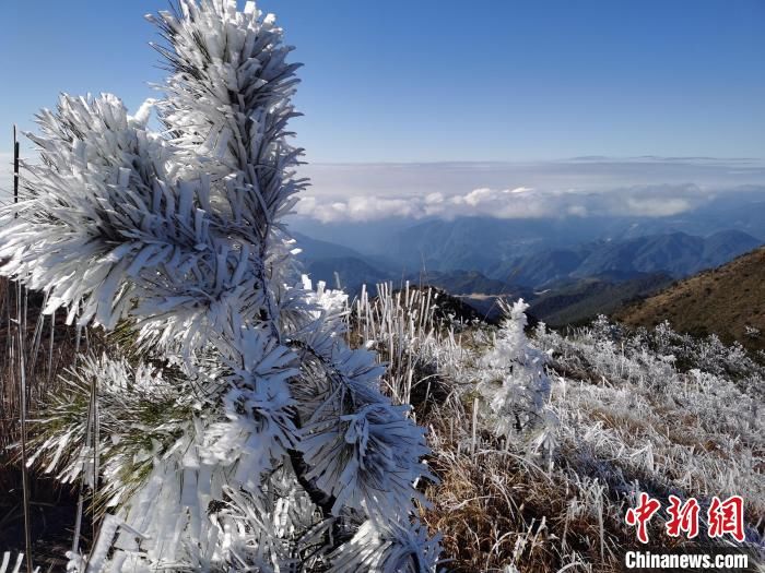 何家进|福建宁德世界地质公园迎来今年首场雾凇