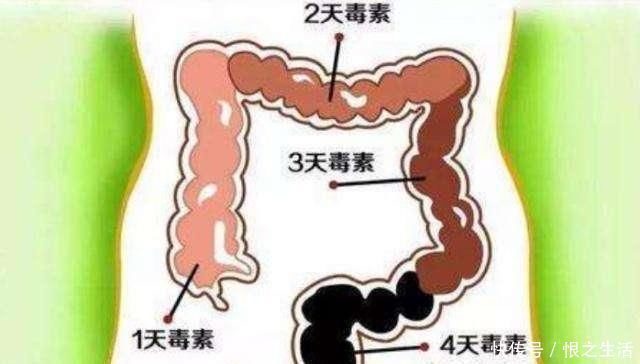 它是天然“通便剂”,比香蕉强99倍,还调脾胃,坚持1个月有奇效