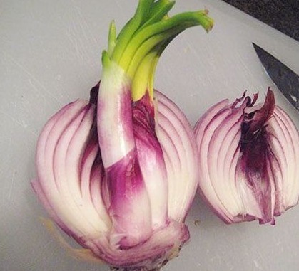 此物|有三种食物发芽后不可食用，但此物发芽后特别有营养，可以食用