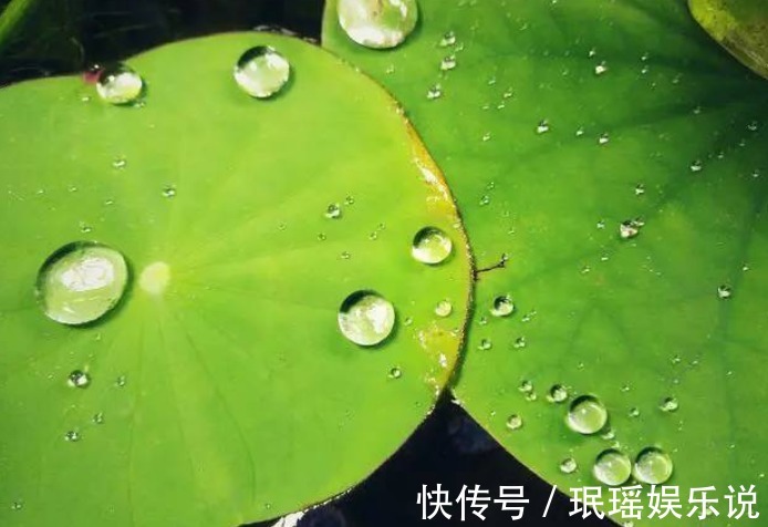 舒张压|血压高的人，不想脑溢血，少碰4种食物，谨记：补三物，做三控