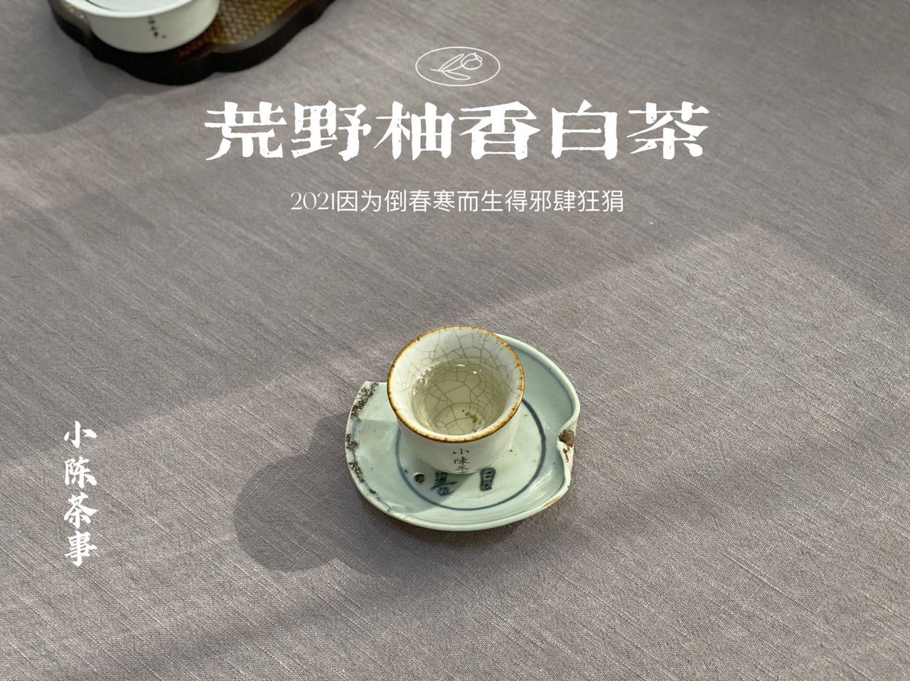 白茶泡着喝和煮着喝,究竟哪一个更香?听村姑陈说完,有收获