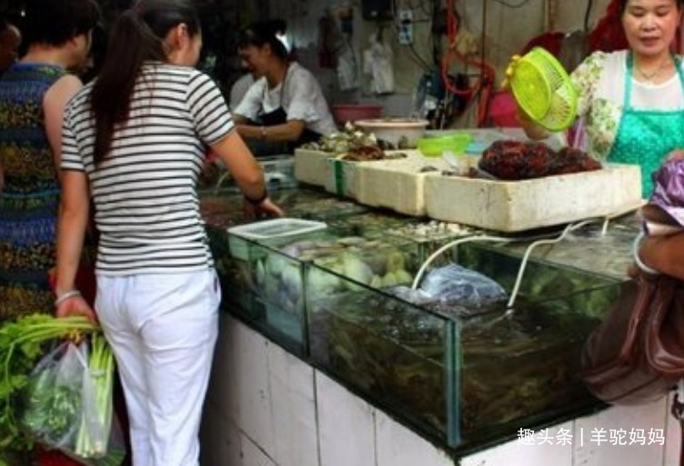 鳞片|仅需一勺“粉”死鱼变活鱼这些打药的鱼,无数父母还疯抢给娃吃