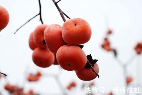 豆腐与这4种食物是“死对头”，两者不可以同食，否则会吃出问题