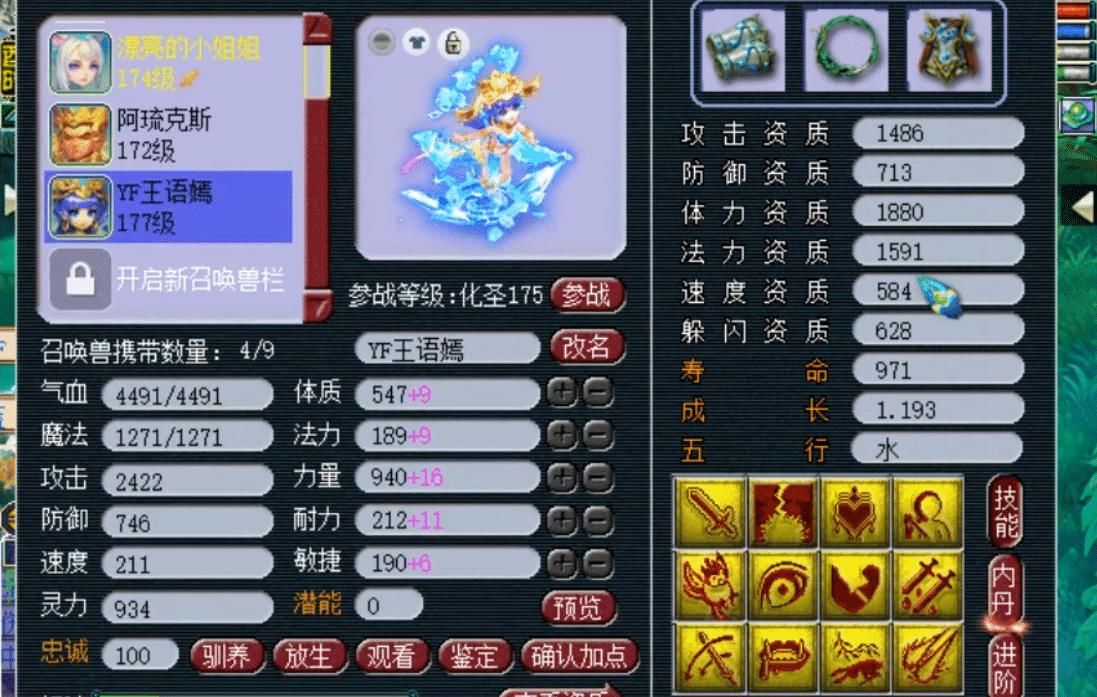 个性|梦幻西游：老王展示超个性玩具宠，一回合能用掉半管蓝，太暴力了
