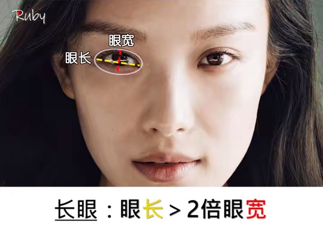 眼睑|双眼皮、大眼睛已经过时了，现在的美女标准是这样..