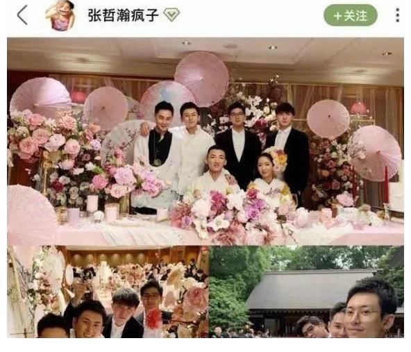 万家文化|赵薇被封杀的可能原因深度分析