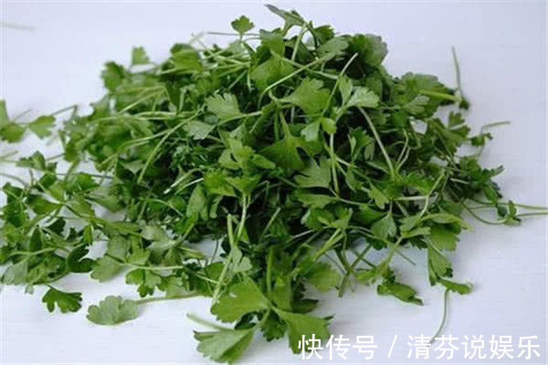 芹菜叶|此菜卖价很高,却营养丰富,既是减肥佳品,又可健脑助眠