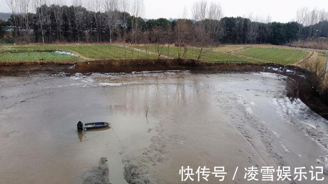 鱼塘|安徽老乡养鱼，两万元鱼苗投放进去，却被这群“大害鱼”吃个精光