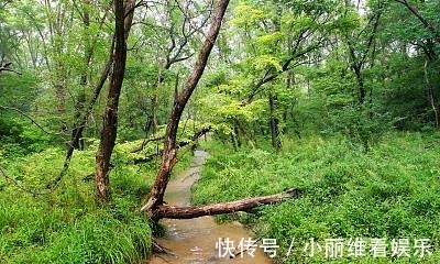 景色|内蒙一景区走红，被称为“天然氧吧”，距市区2小时车程