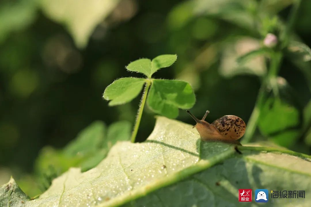 烟台理工学院|秋日特辑 ——一起领略烟台理工学院的金秋时光