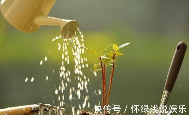 坏习惯|喜欢养花,先戒掉7个坏习惯,不然啥花也养不好,你占了几个?