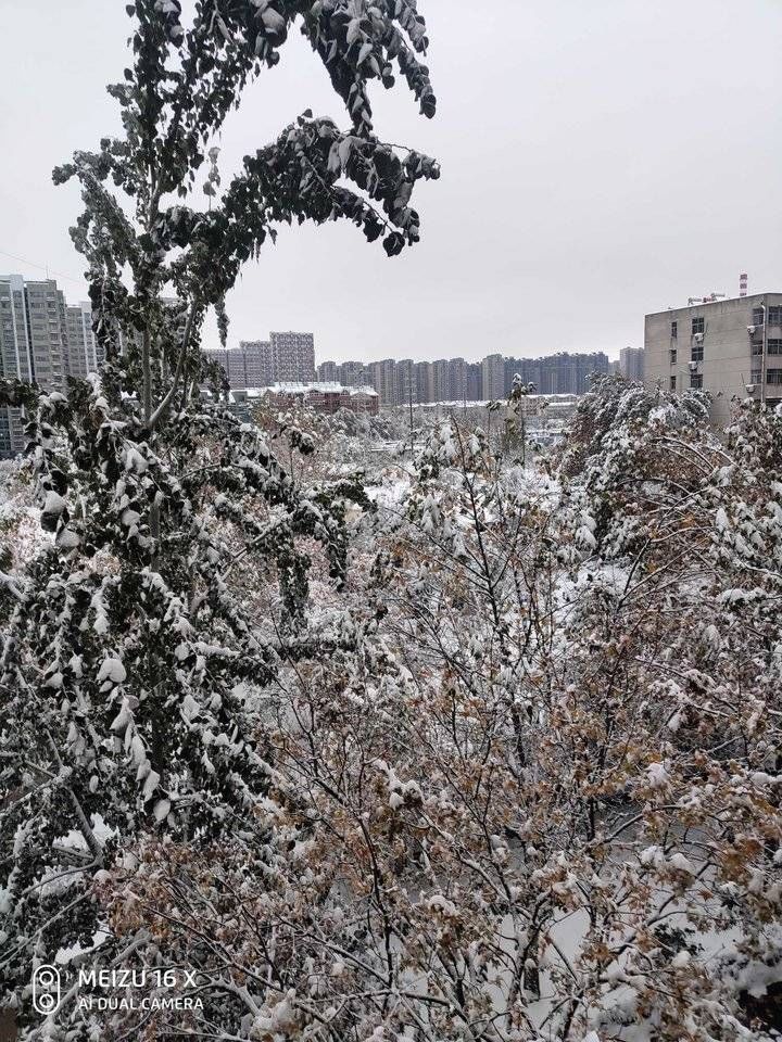 杨克汶|雪｜济南冬天的第二场雪